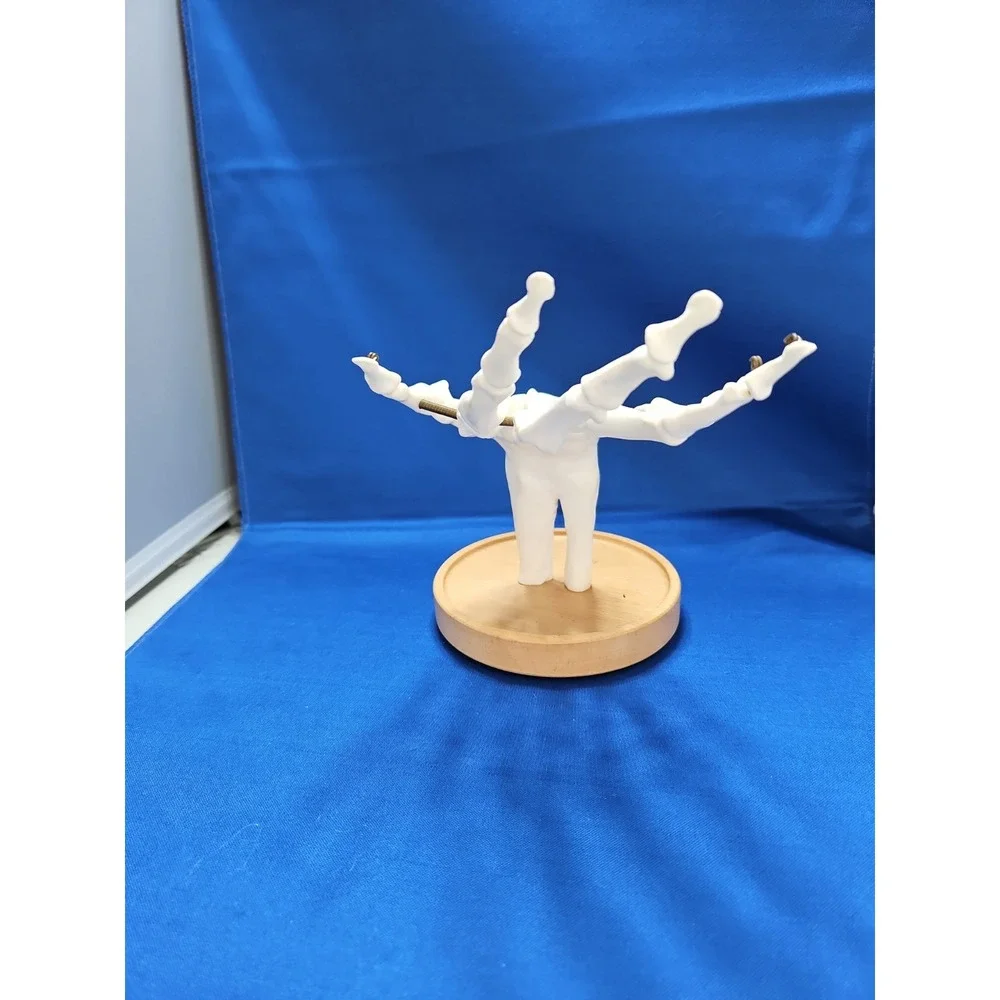 Skeleton Hand Jewelry Stand Ring Necklace Holder Gothic Halloween Life-Size